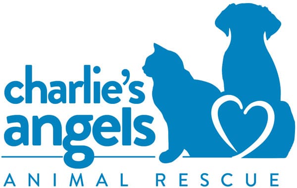 Donation Stories