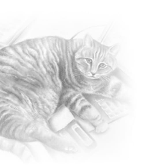 Jas Drawing